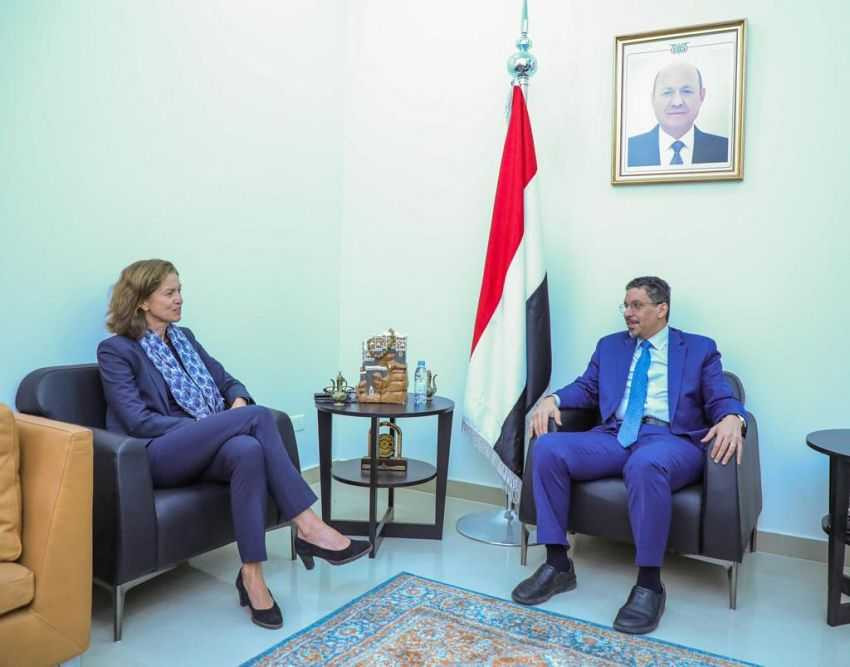 وزير الخارجية خلال اللقاء