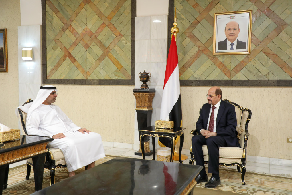 وزير الخارجية يبحث مع السفير الإماراتي تنسيق المواقف تجاه القضايا ذات الاهتمام المشترك