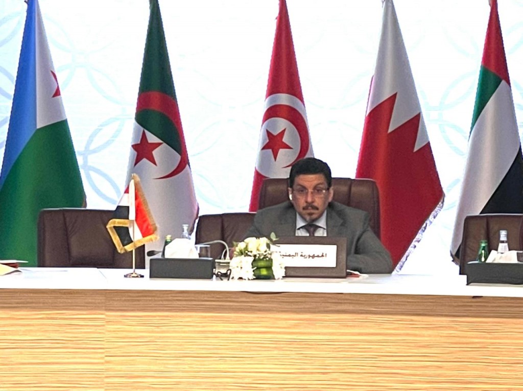 وزير الخارجية خلال الاجتماع التشاوري