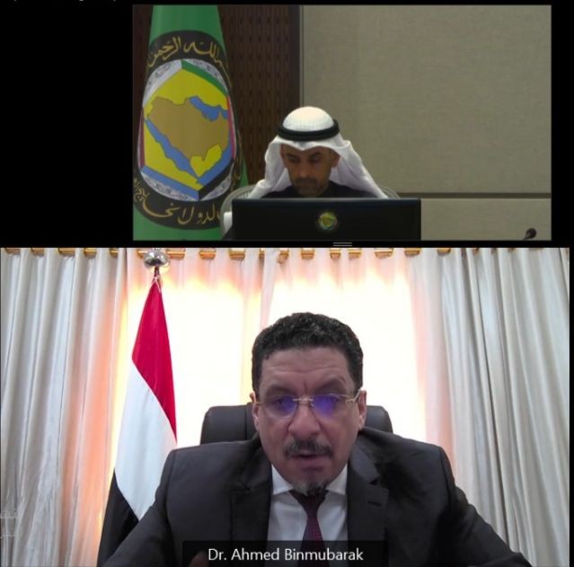 وزير الخارجية خلال اللقاء المرئي
