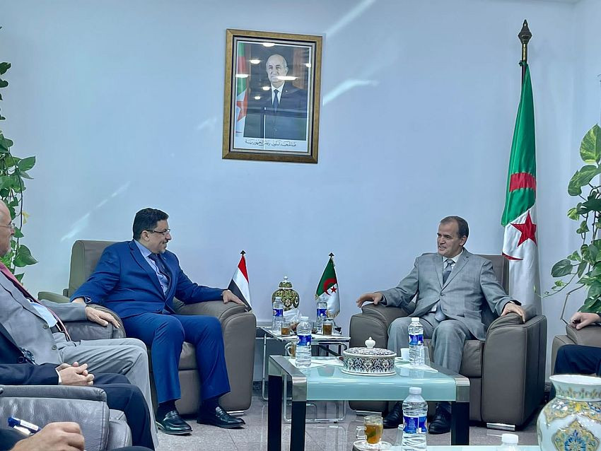 وزير الخارجية خلال اللقاء