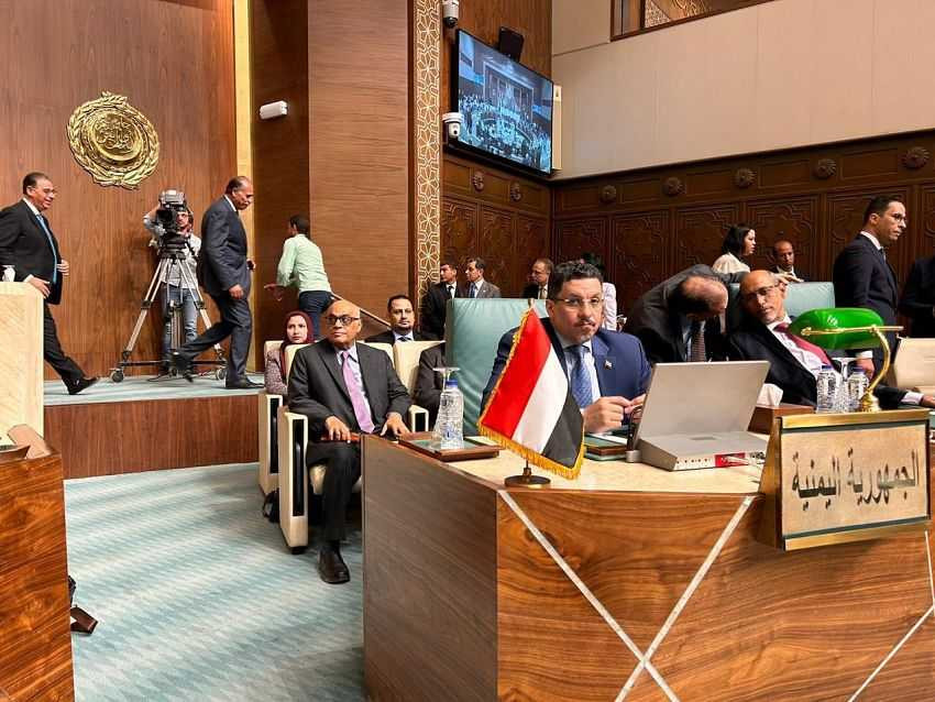 وزير الخارجية خلال المشاركة