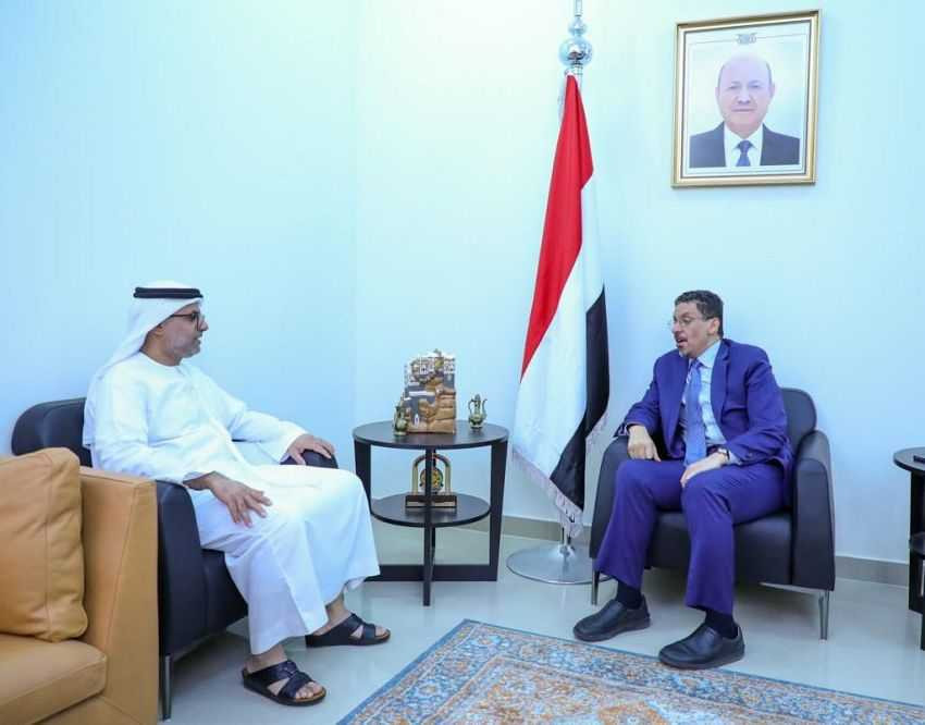 وزير الخارجية خلال اللقاء