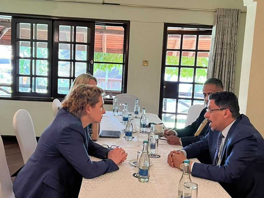 لقاء وزير الخارجية مع نائبة رئيس البرلمان الأوروبي