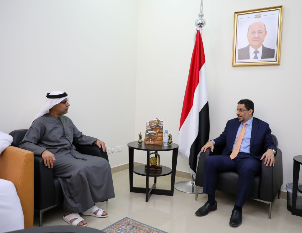 وزير الخارجية يبحث مع السفير الإماراتي تنسيق مواقف البلدين تجاه القضايا ذات الاهتمام المشترك