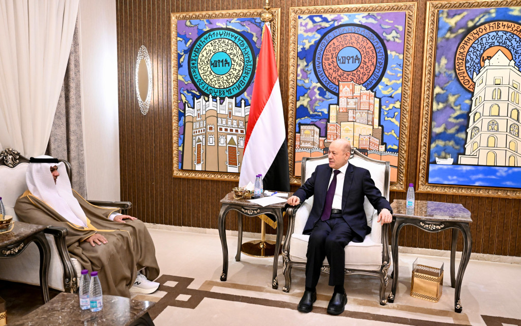 رئيس مجلس القيادة يشيد بالتدخلات الإماراتية في مجال الطاقة الكهربائية