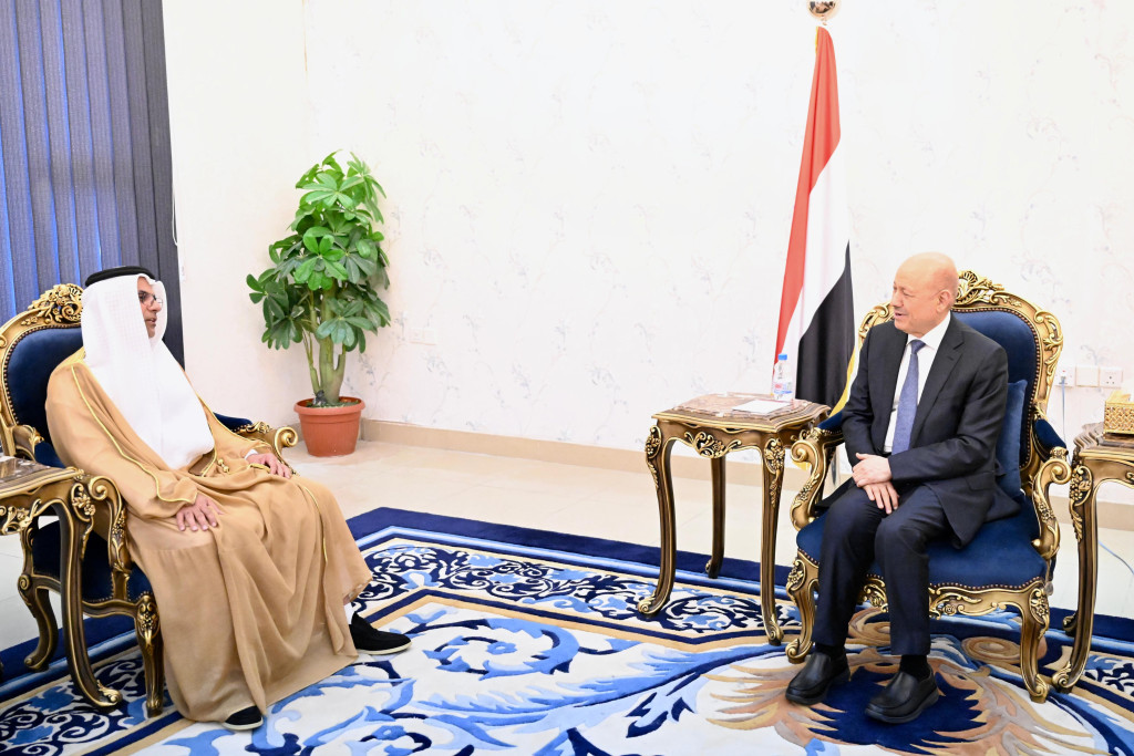 رئيس مجلس القيادة يشيد بالدعم الإماراتي لقطاع الكهرباء في اليمن