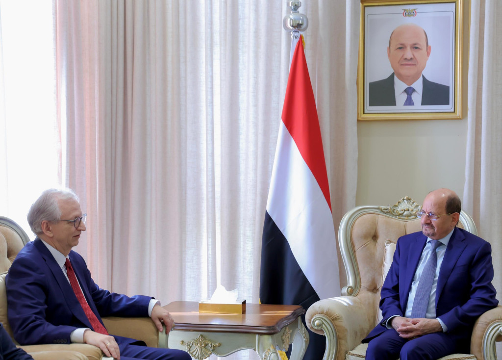 رئيس الوزراء وزير الخارجية يؤكد أن دعم المجتمع الدولي للحكومة الشرعية استثمار في الاستقرار الإقليمي